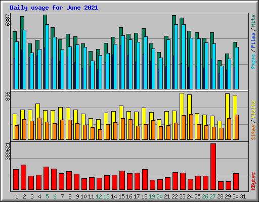Daily usage for June 2021