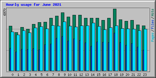Hourly usage for June 2021